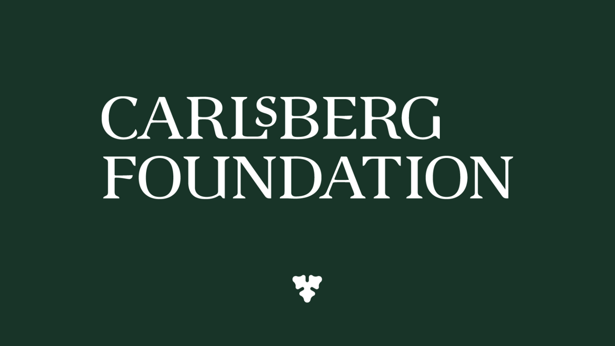 Reintegration Fellowships | Carlsbergfondet.dk